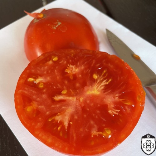 Solanum lycopersicum 'Liz Birt' - Harilik tomat 'Liz Birt'